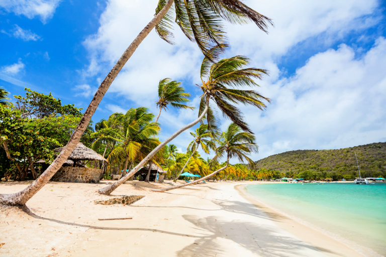 Tobago Cays Mayreau Island__768